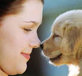 Child and puppy with their noses touching
